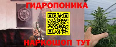 шишки Бийск