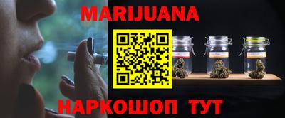 шишки Бийск