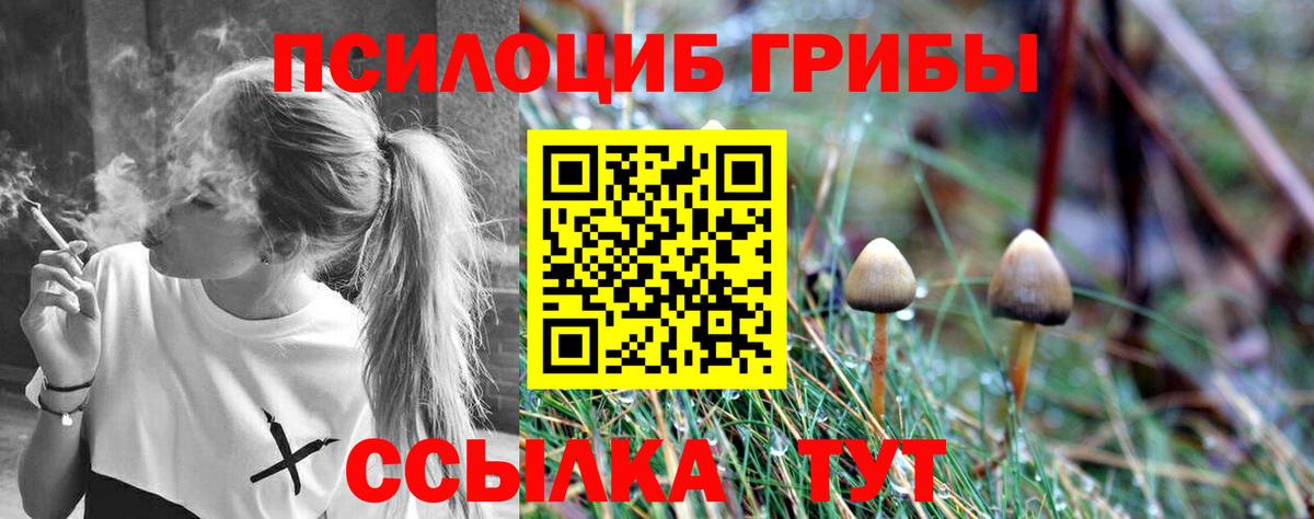 Галлюциногенные грибы Magic Shrooms Вязьма